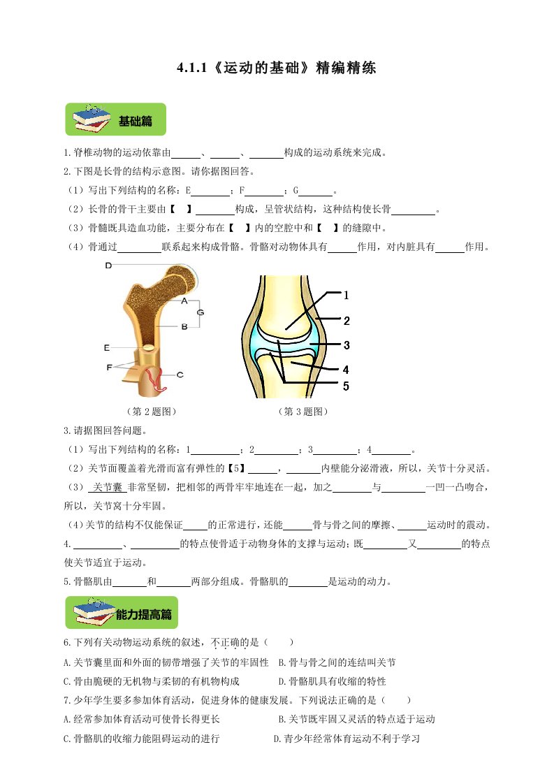 八年级上册生物4.1.1《运动的基础》同步练习（含答案）