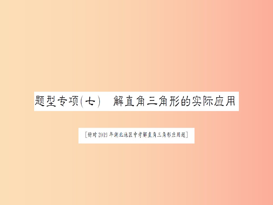 湖北省2019中考数学二轮复习