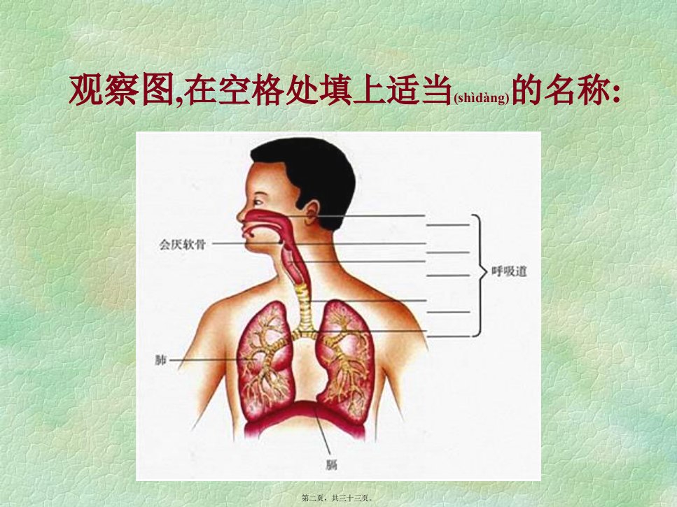 医学专题第一节呼吸道对空气的处理