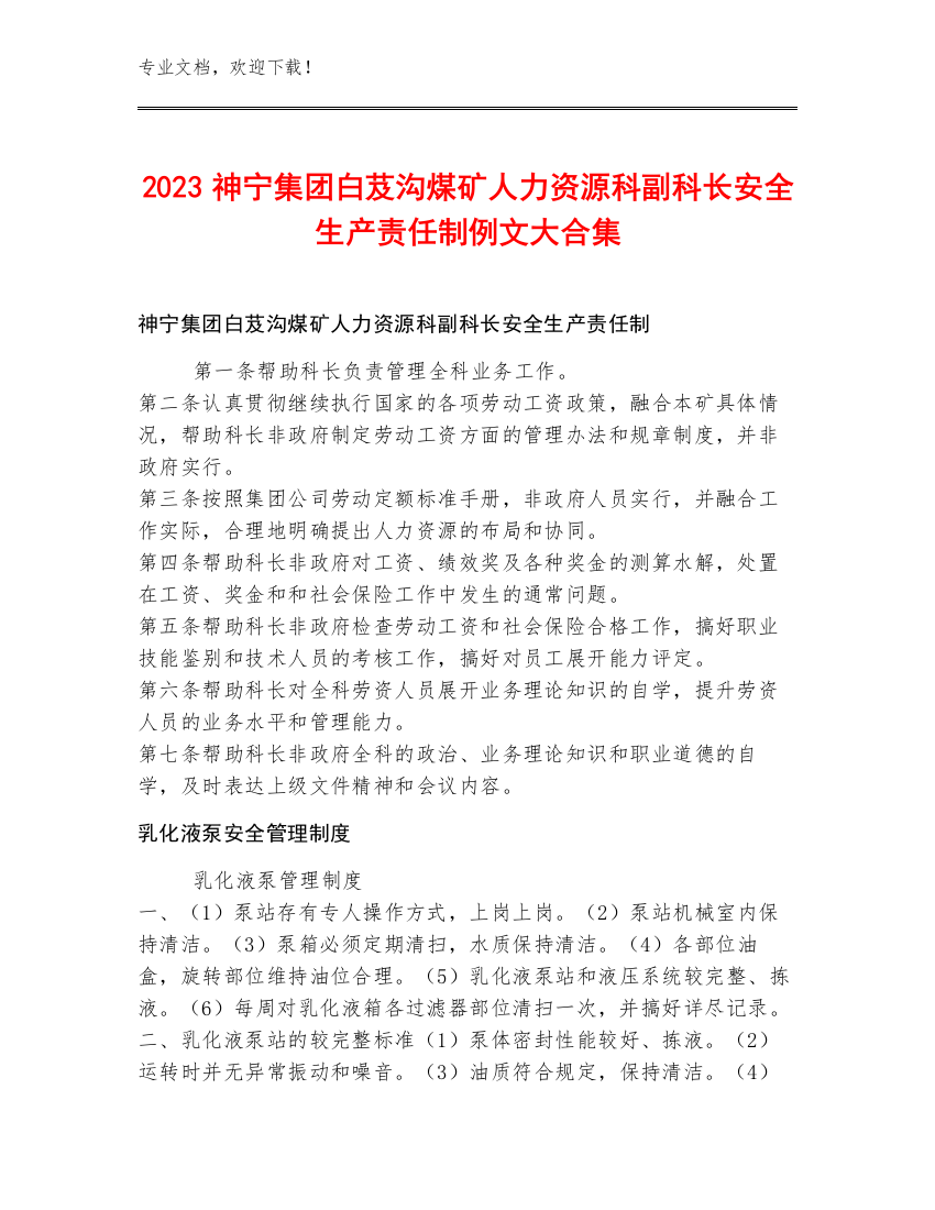 2023神宁集团白芨沟煤矿人力资源科副科长安全生产责任制例文大合集