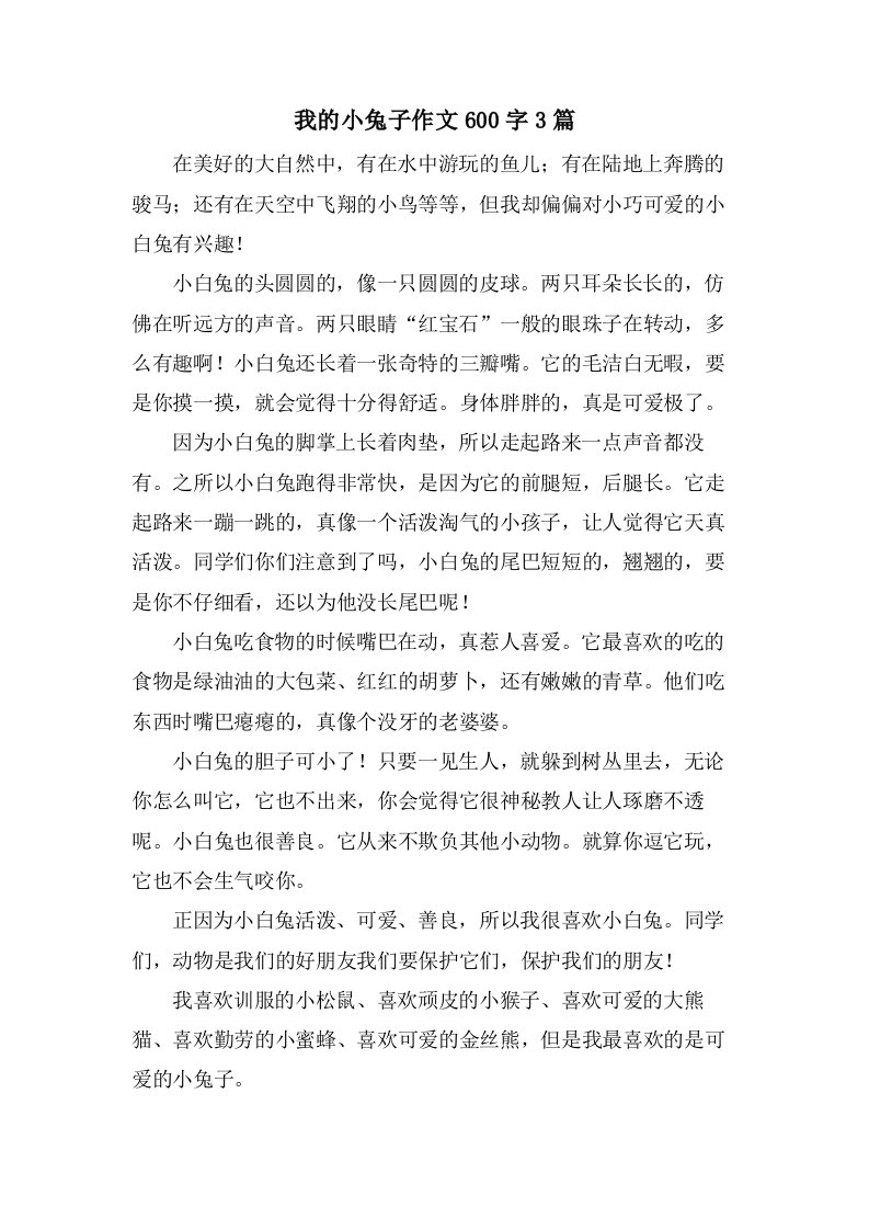 我的小兔子作文600字3篇