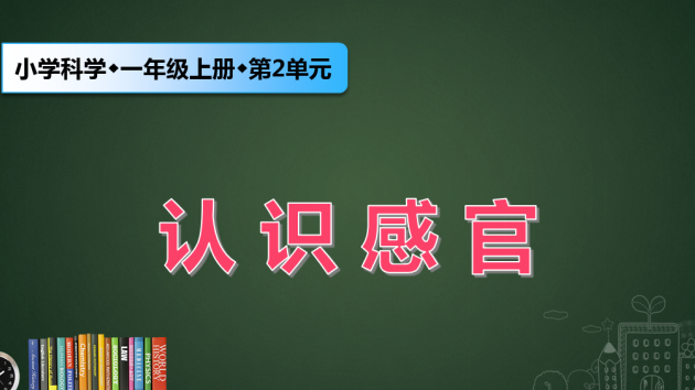 苏教版科学一年级上册课件：4-认识感官-课件-新教材