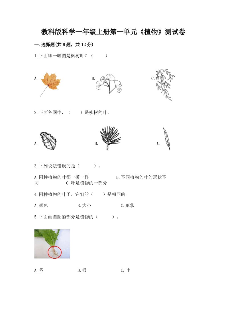 教科版科学一年级上册第一单元《植物》测试卷【真题汇编】