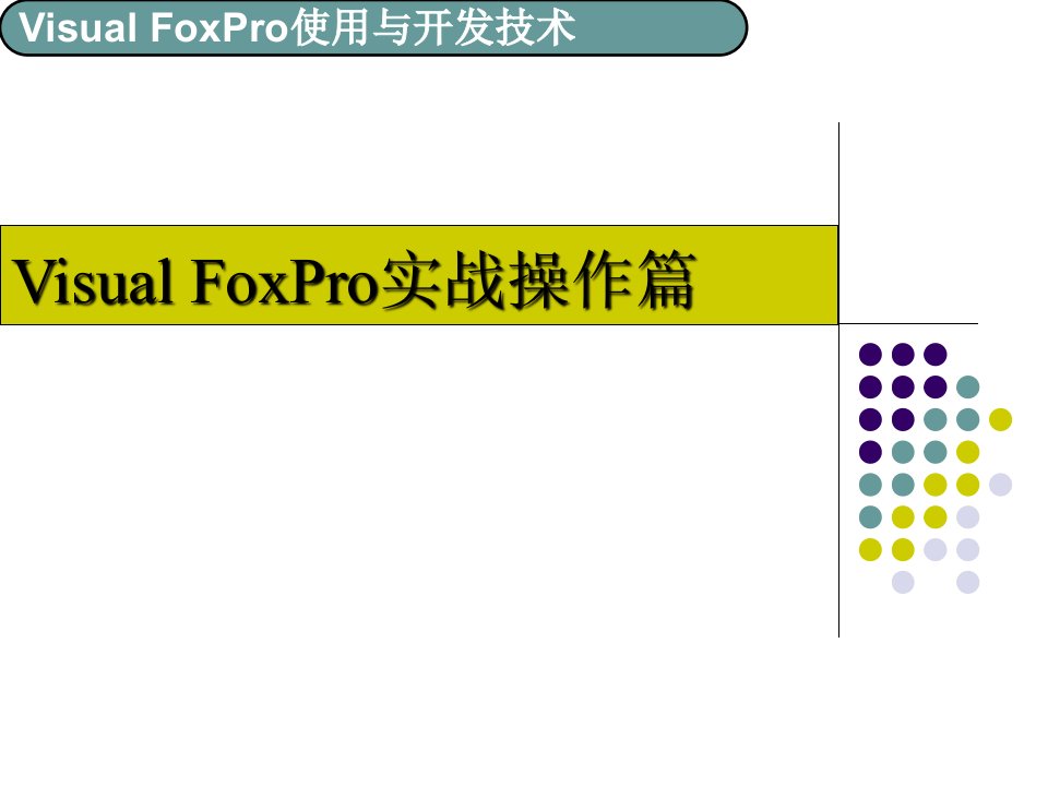 VisualFoxPro程序设计授课课件3