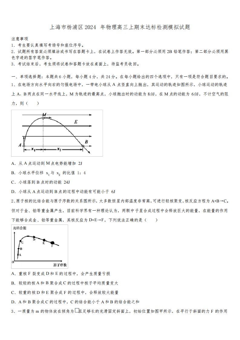 上海市杨浦区2024年物理高三上期末达标检测模拟试题含解析