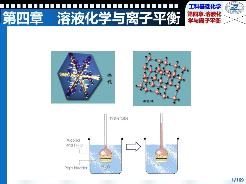 溶液化学与离子平衡解析课件