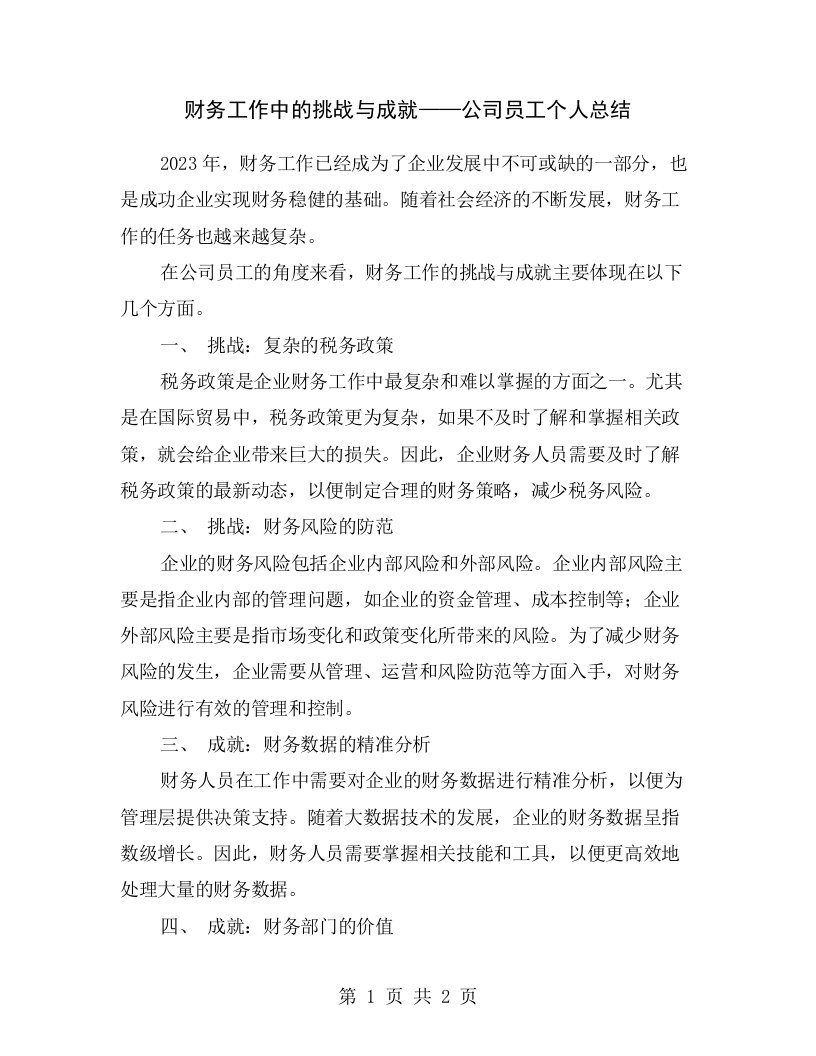 财务工作中的挑战与成就——公司员工个人总结