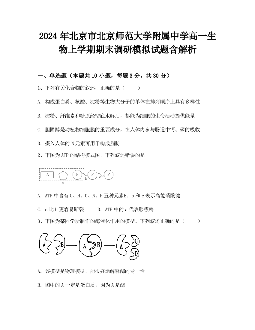 2024年北京市北京师范大学附属中学高一生物上学期期末调研模拟试题含解析