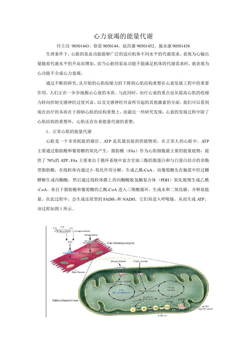 心力衰竭的能量代谢