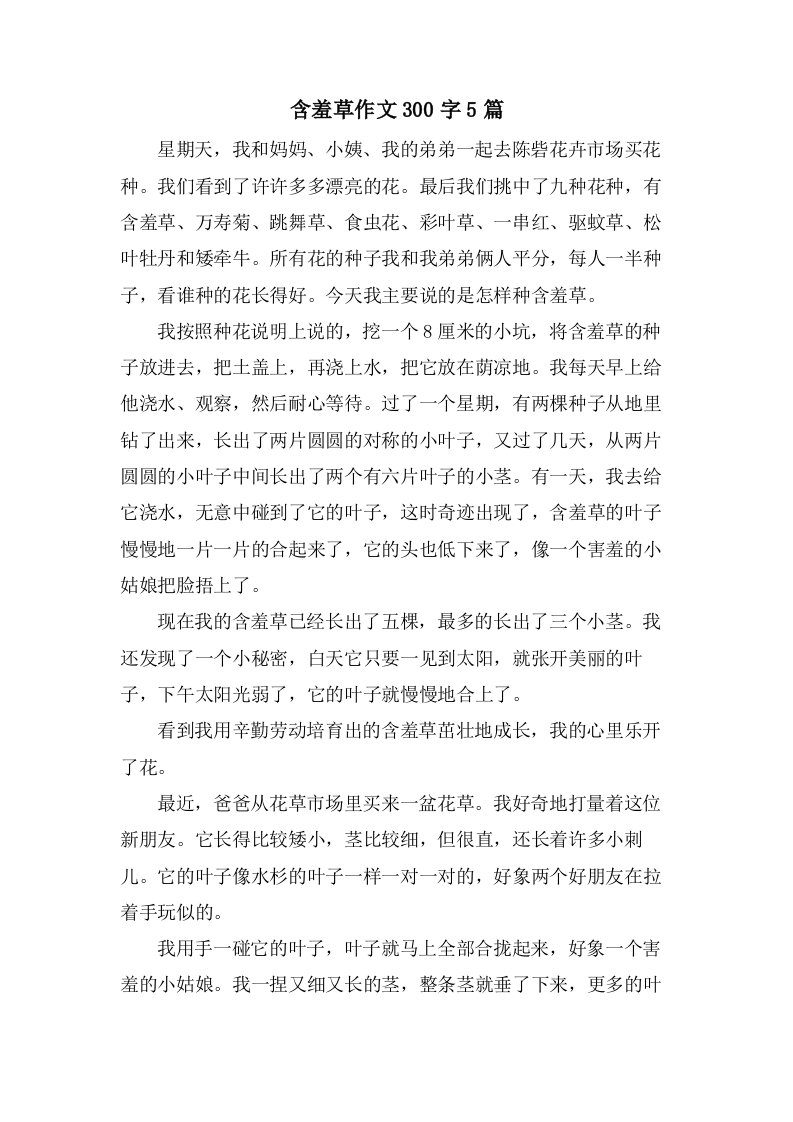 含羞草作文300字5篇