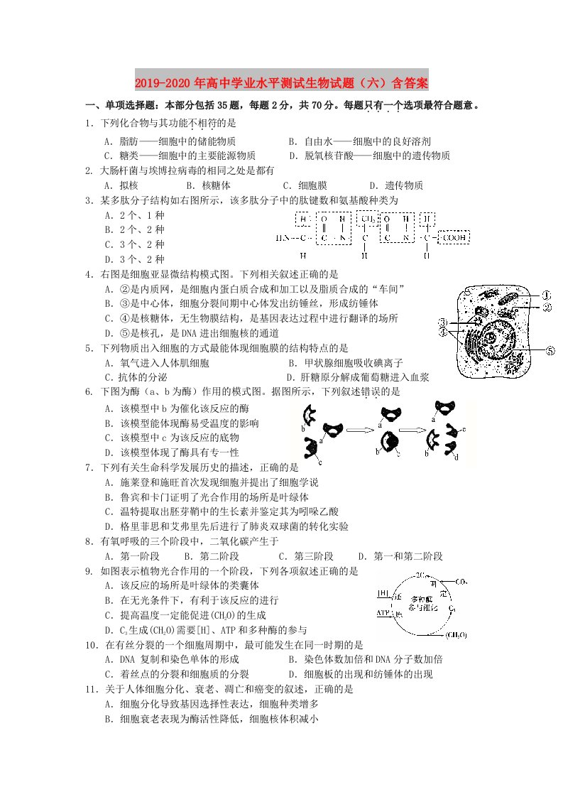 2019-2020年高中学业水平测试生物试题（六）含答案