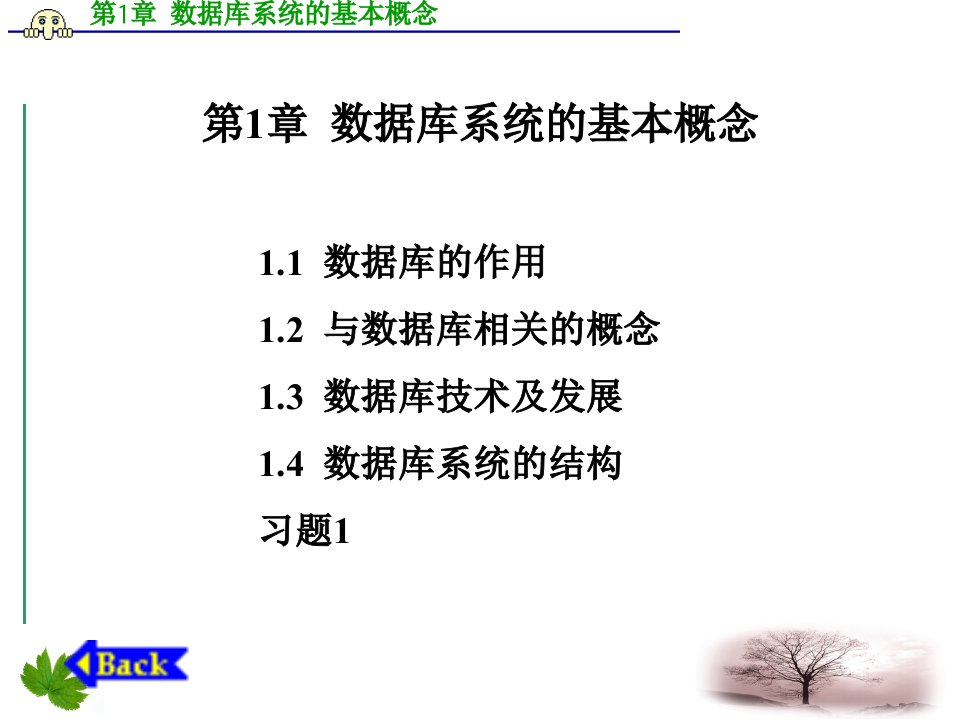 数据库技术及应用第1章数据库系统的基本概念