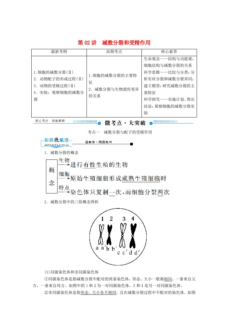 2020版高考生物一轮复习第四单元细胞的生命历程第02讲减数分裂和受精作用教案新人教版