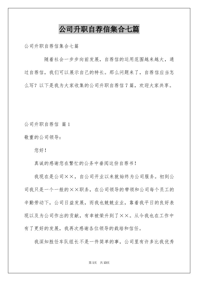 公司升职自荐信集合七篇