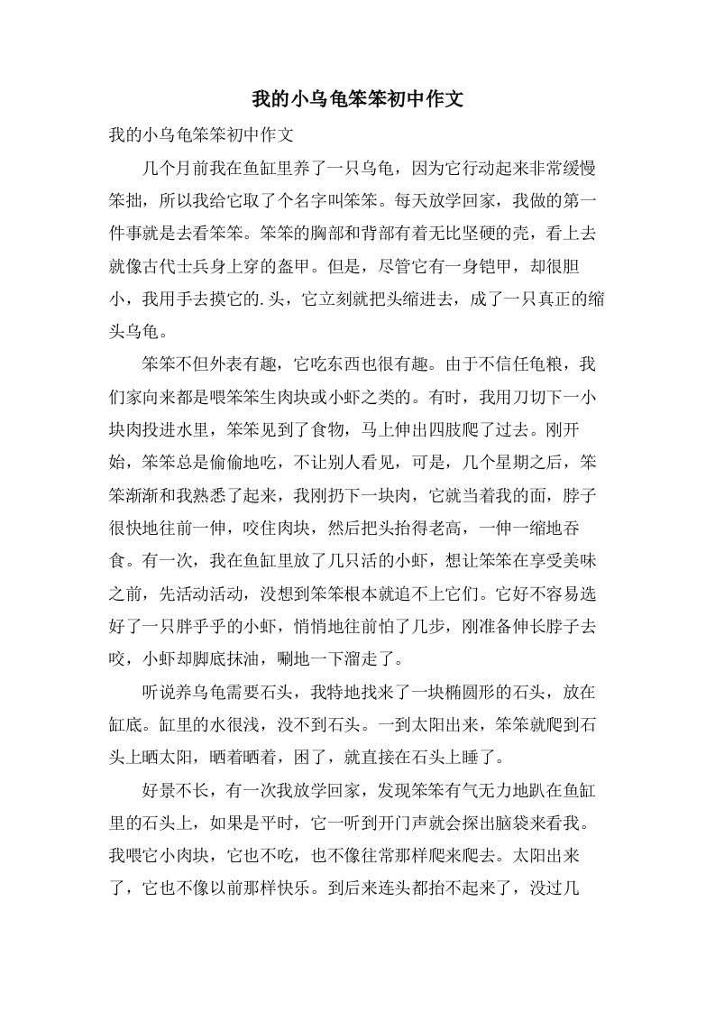 我的小乌龟笨笨初中作文