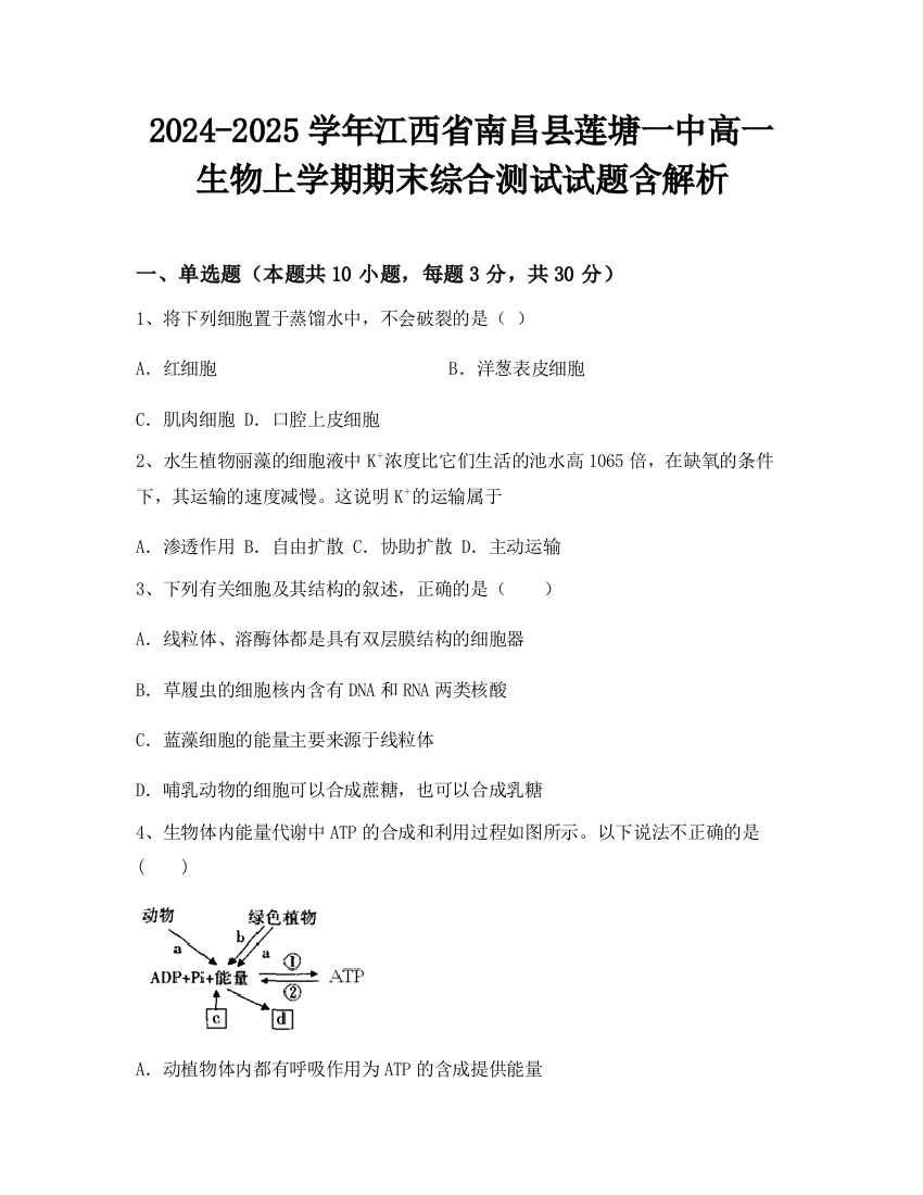 2024-2025学年江西省南昌县莲塘一中高一生物上学期期末综合测试试题含解析