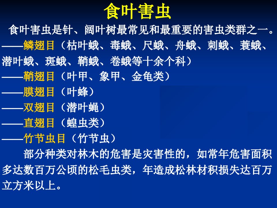 各论食叶害虫知识讲解