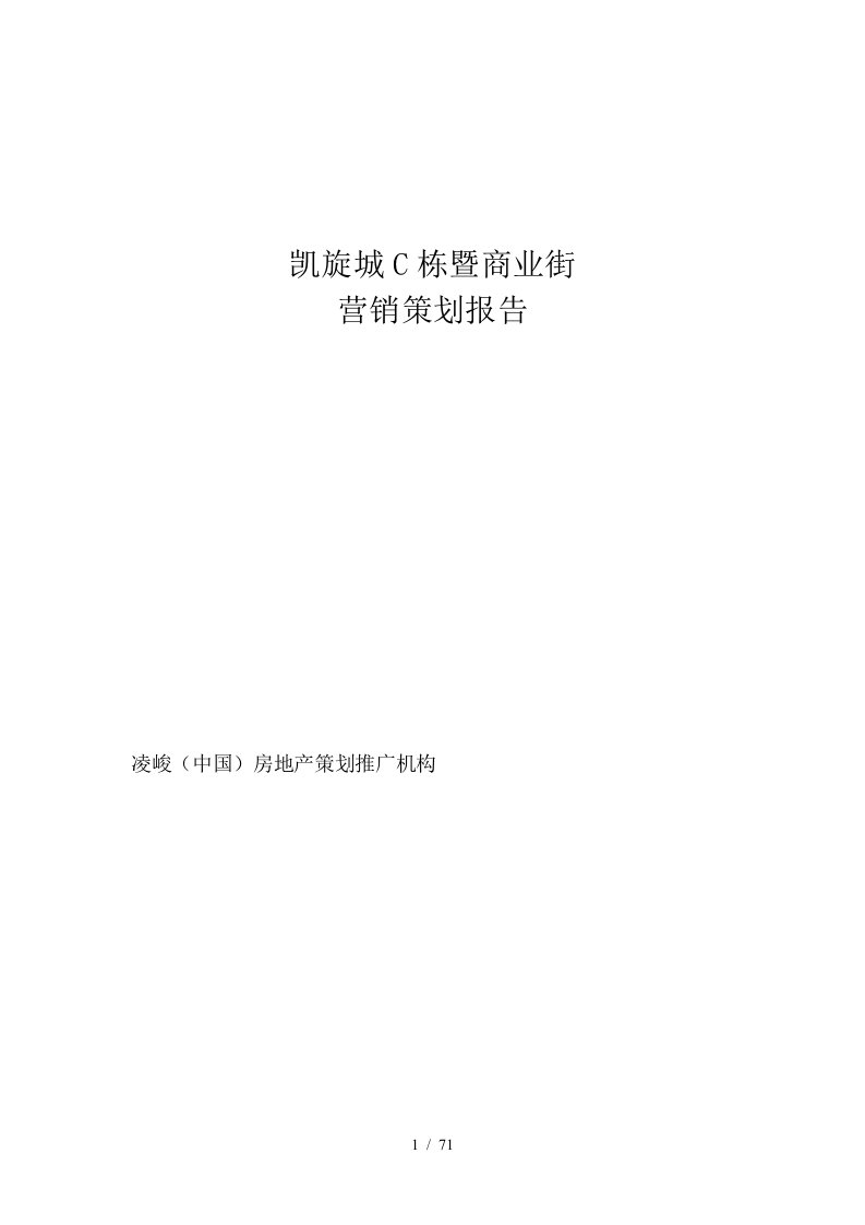 房地产策划推广之商业街营销策划报告