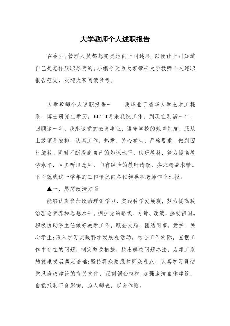 大学教师个人述职报告