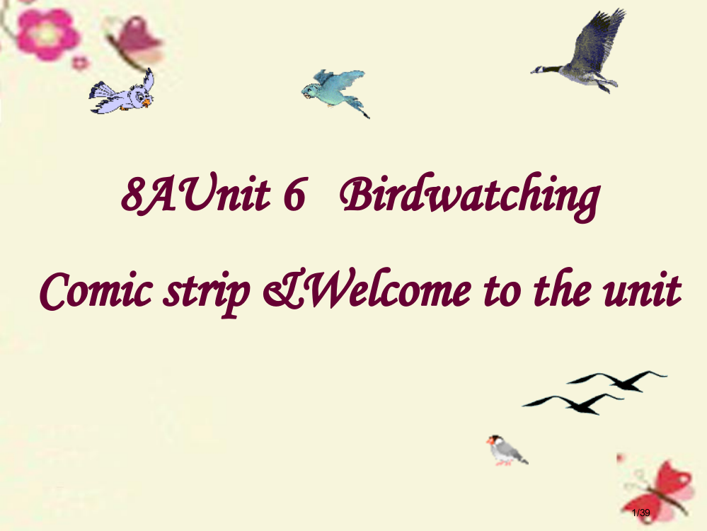 八年级英语上册Unit-6-Bird-watching-Welcome-to-the-Unit省公开