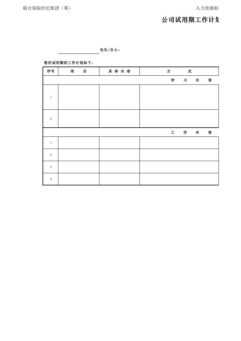 工程资料-试用期工作计划表