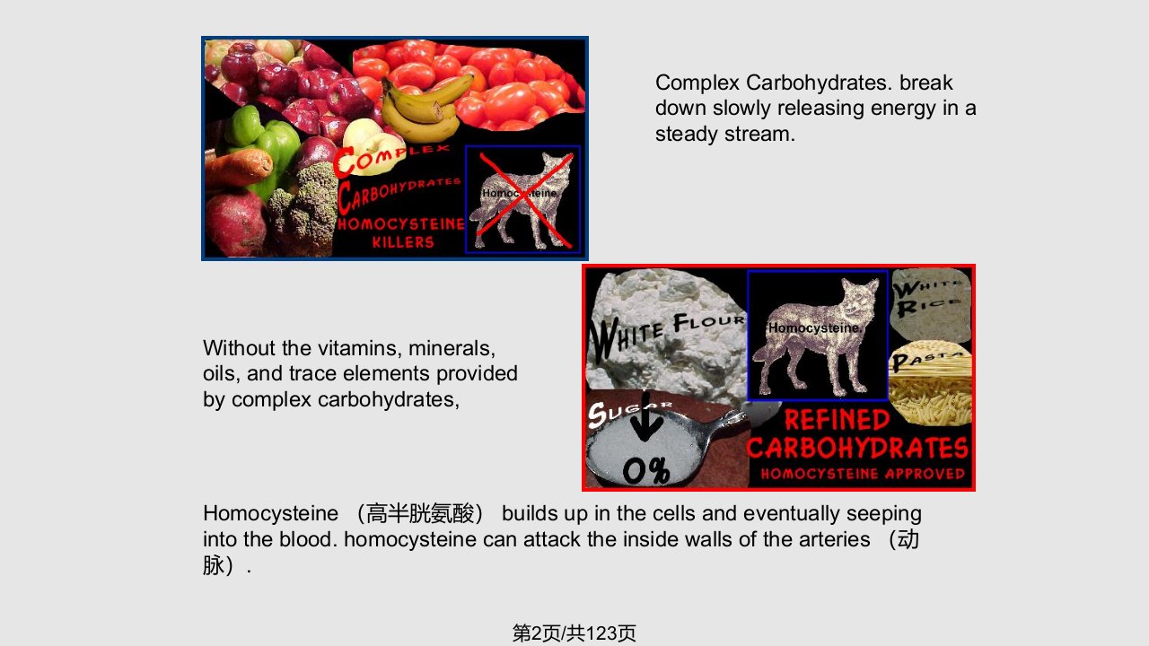 碳水化合物学习