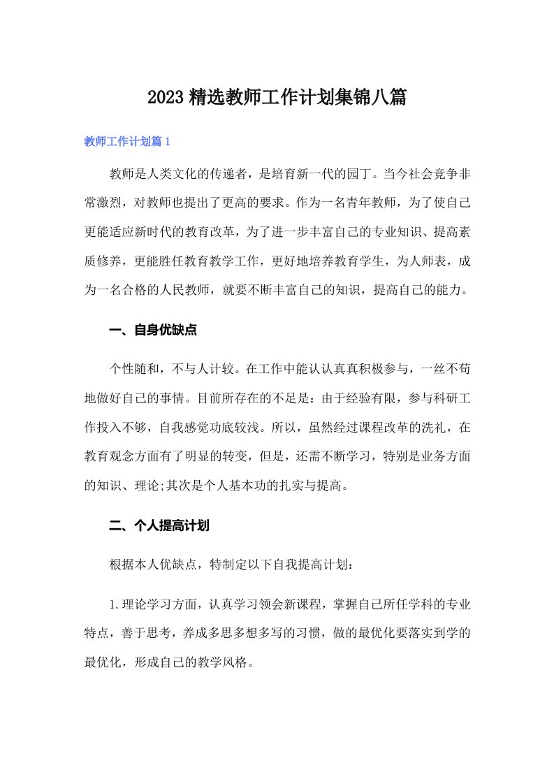 2023精选教师工作计划集锦八篇