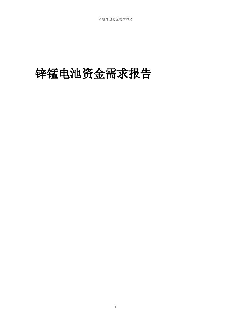 2024年锌锰电池项目资金需求报告代可行性研究报告