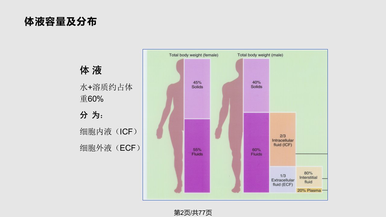 水电解质与酸碱平衡紊乱