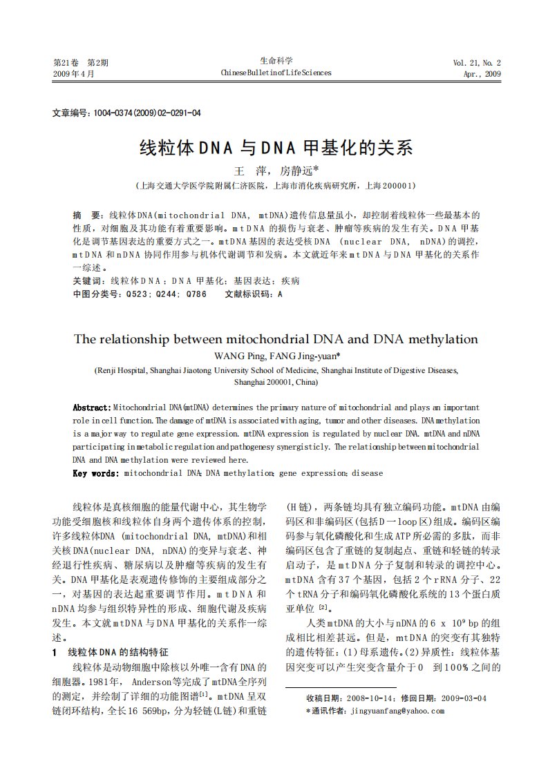 线粒体DNA