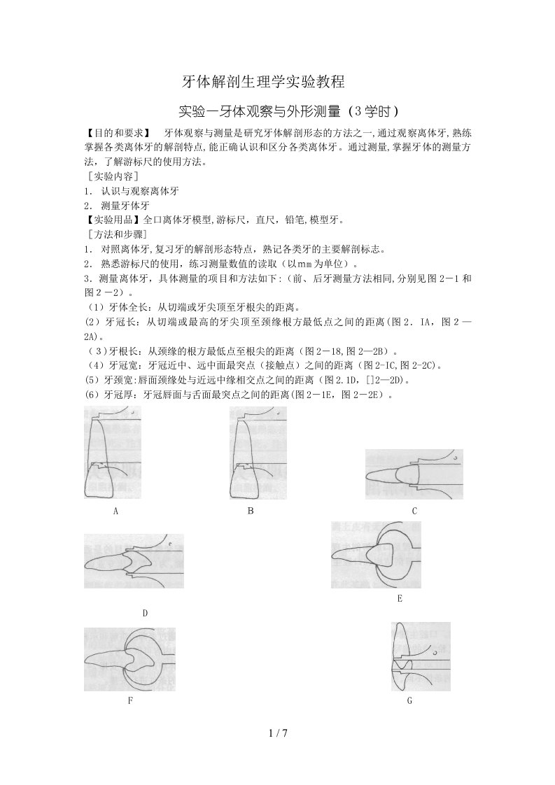 口腔解剖生理学实验指导牙体观察