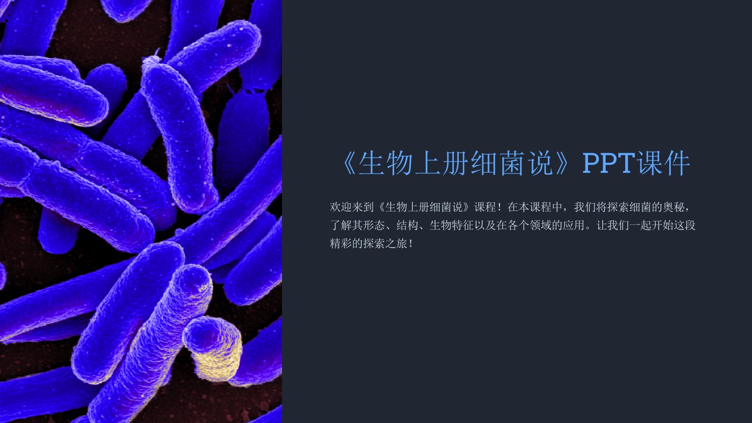 《生物上册细菌说》课件