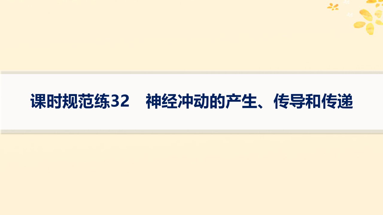 适用于新高考新教材备战2025届高考生物一轮总复习第8单元稳态与调节课时规范练32神经冲动的产生传导和传递课件