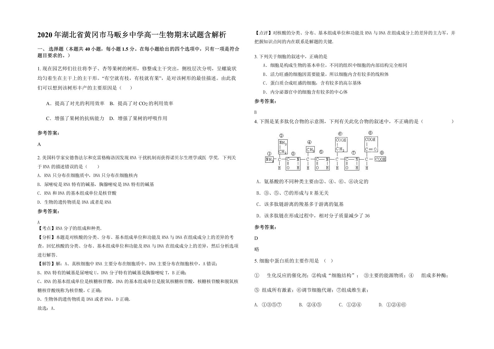 2020年湖北省黄冈市马畈乡中学高一生物期末试题含解析