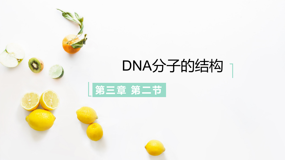 DNA分子的结构(优质课件)