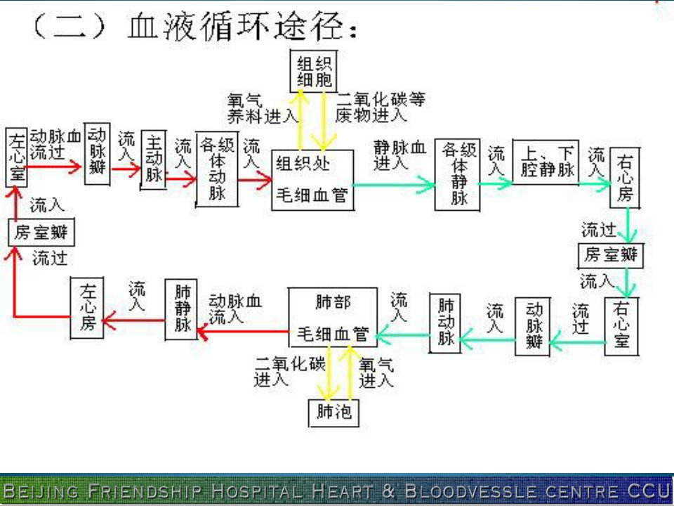 急性心力衰竭心衰的临床表现和处理ppt课件