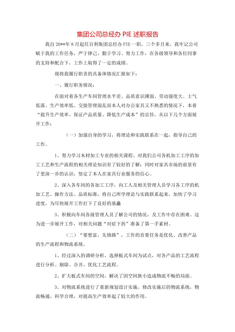 集团公司总经办PIE述职报告