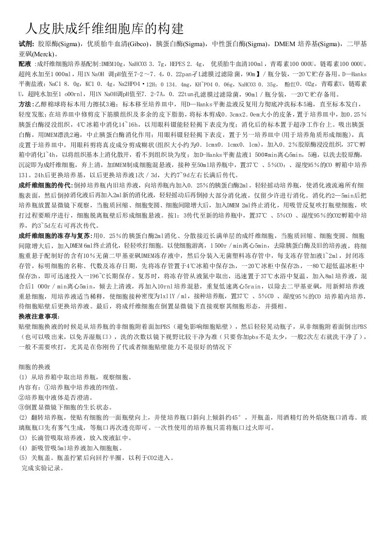 成纤维细胞培养