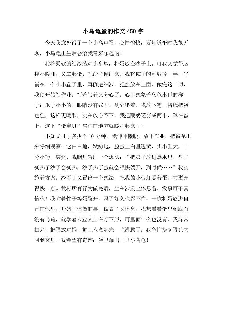 小乌龟蛋的作文450字