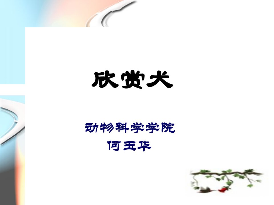 犬的品种及生物学特性公开课获奖课件省赛课一等奖课件