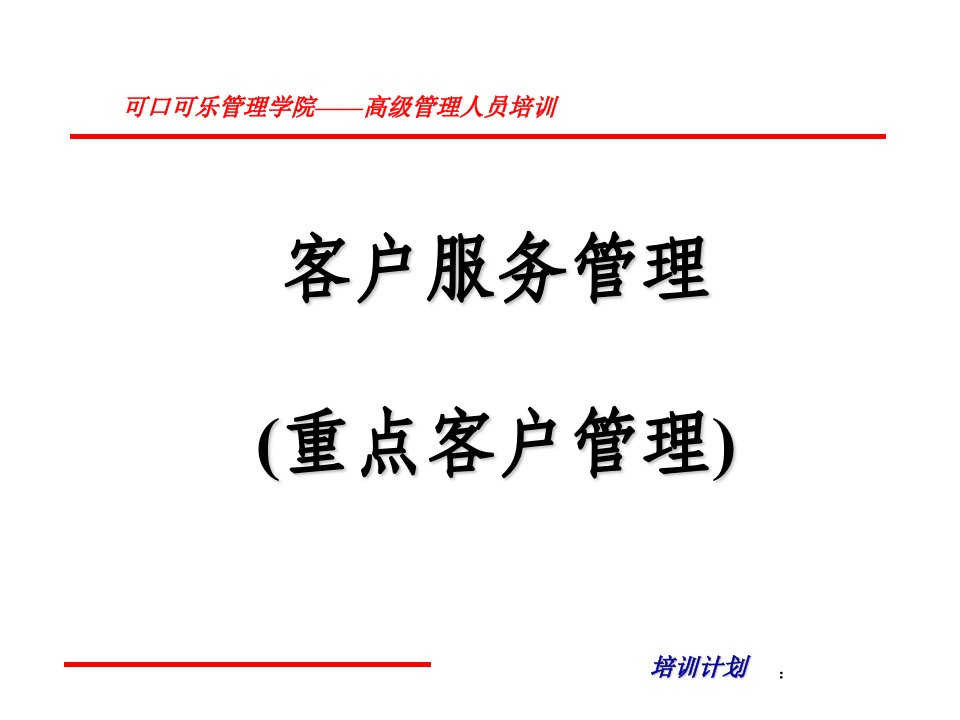 [精选]某公司重点客户管理概述