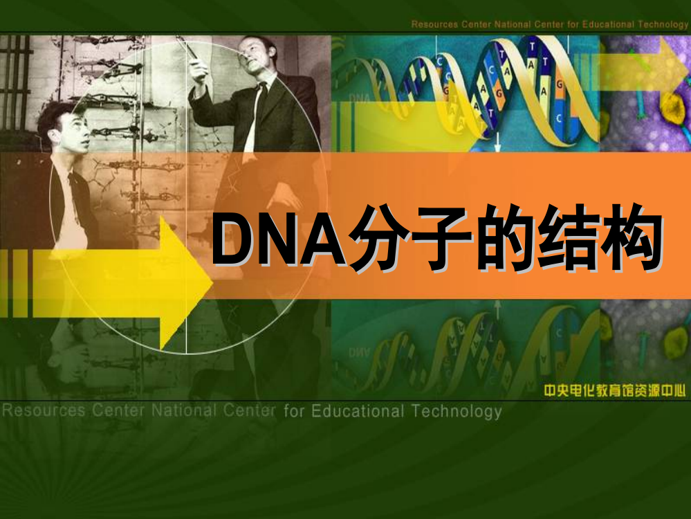 DNA分子结构公开课