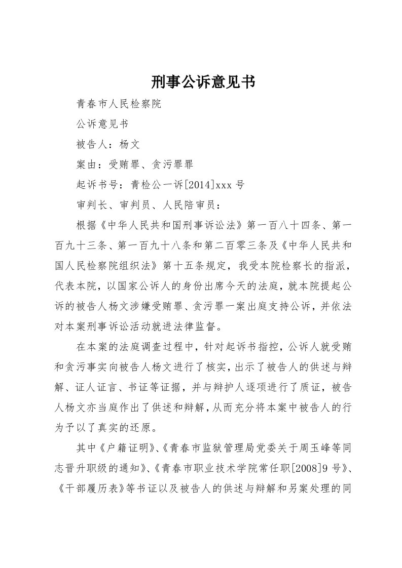 刑事公诉意见书