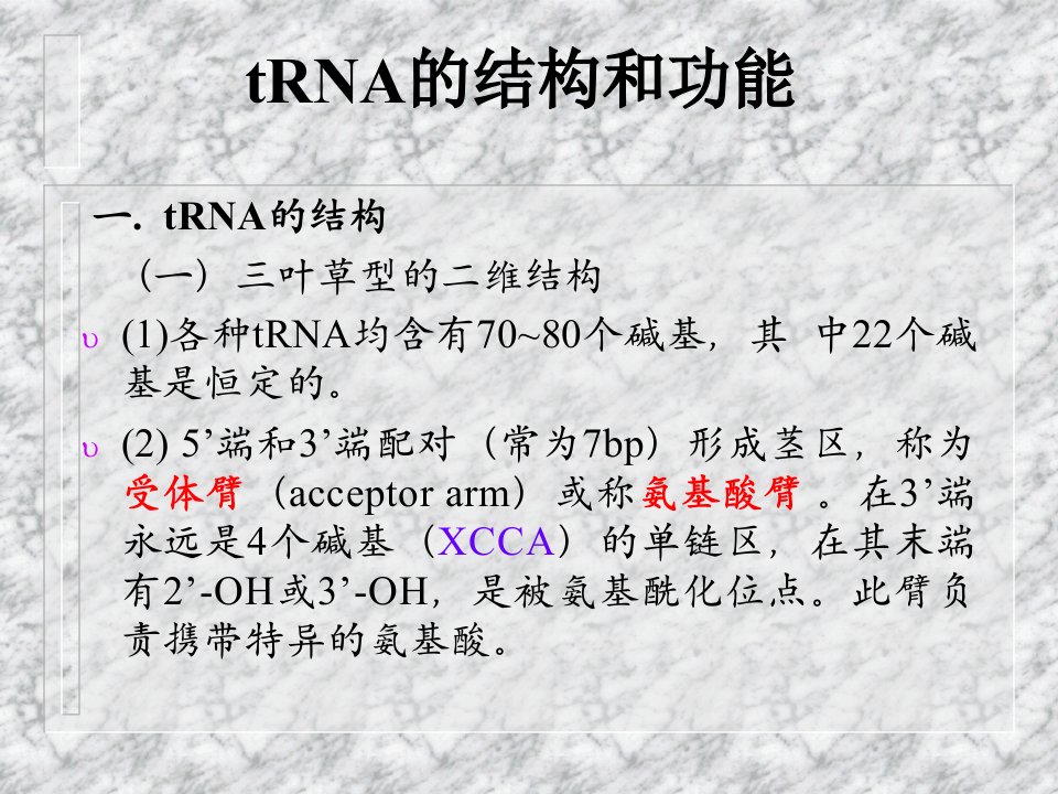 tRNA的结构和功能