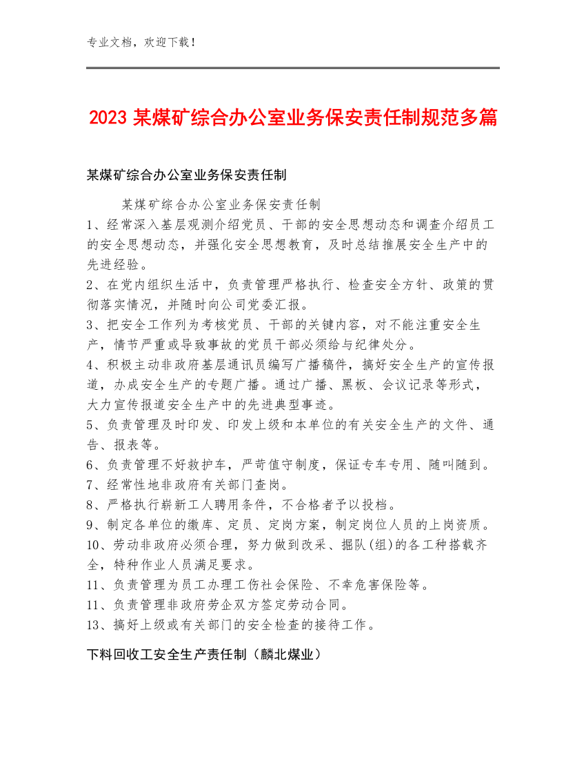 2023某煤矿综合办公室业务保安责任制规范多篇