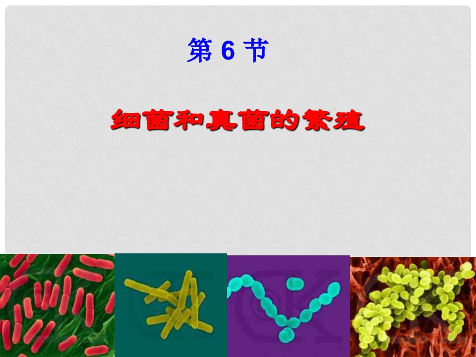 七年级科学下册