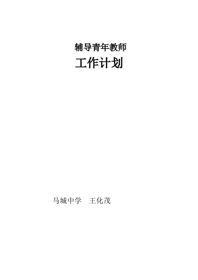 辅导青年教师工作计划