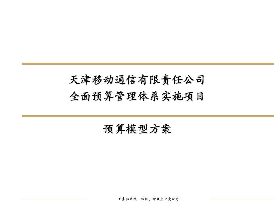 全面预算管理体系实施项目预算模型方案