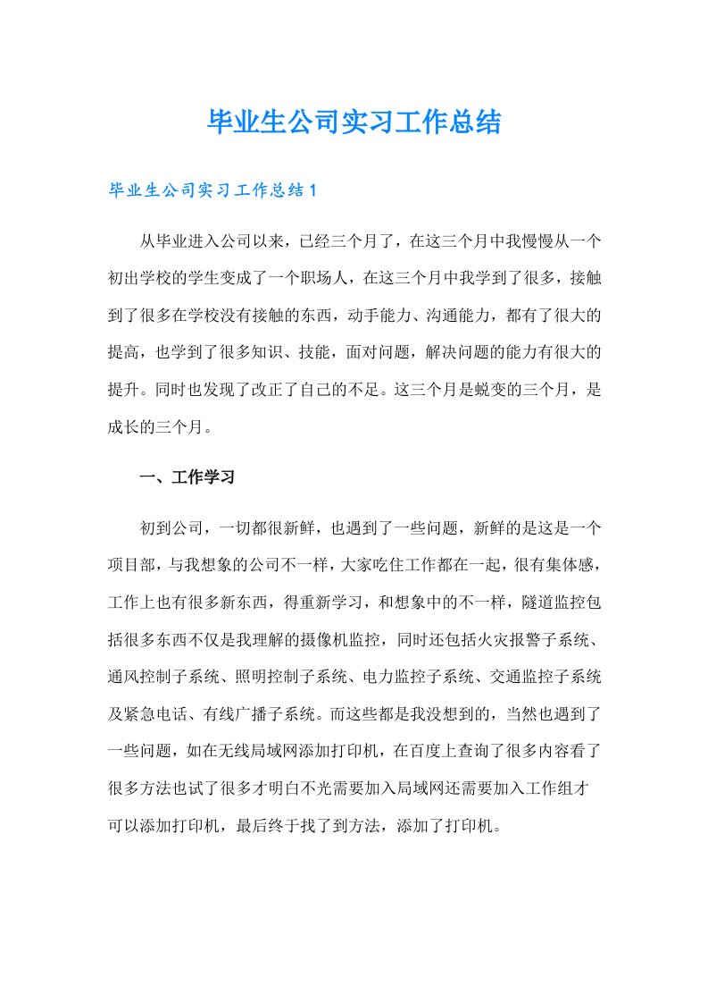 毕业生公司实习工作总结