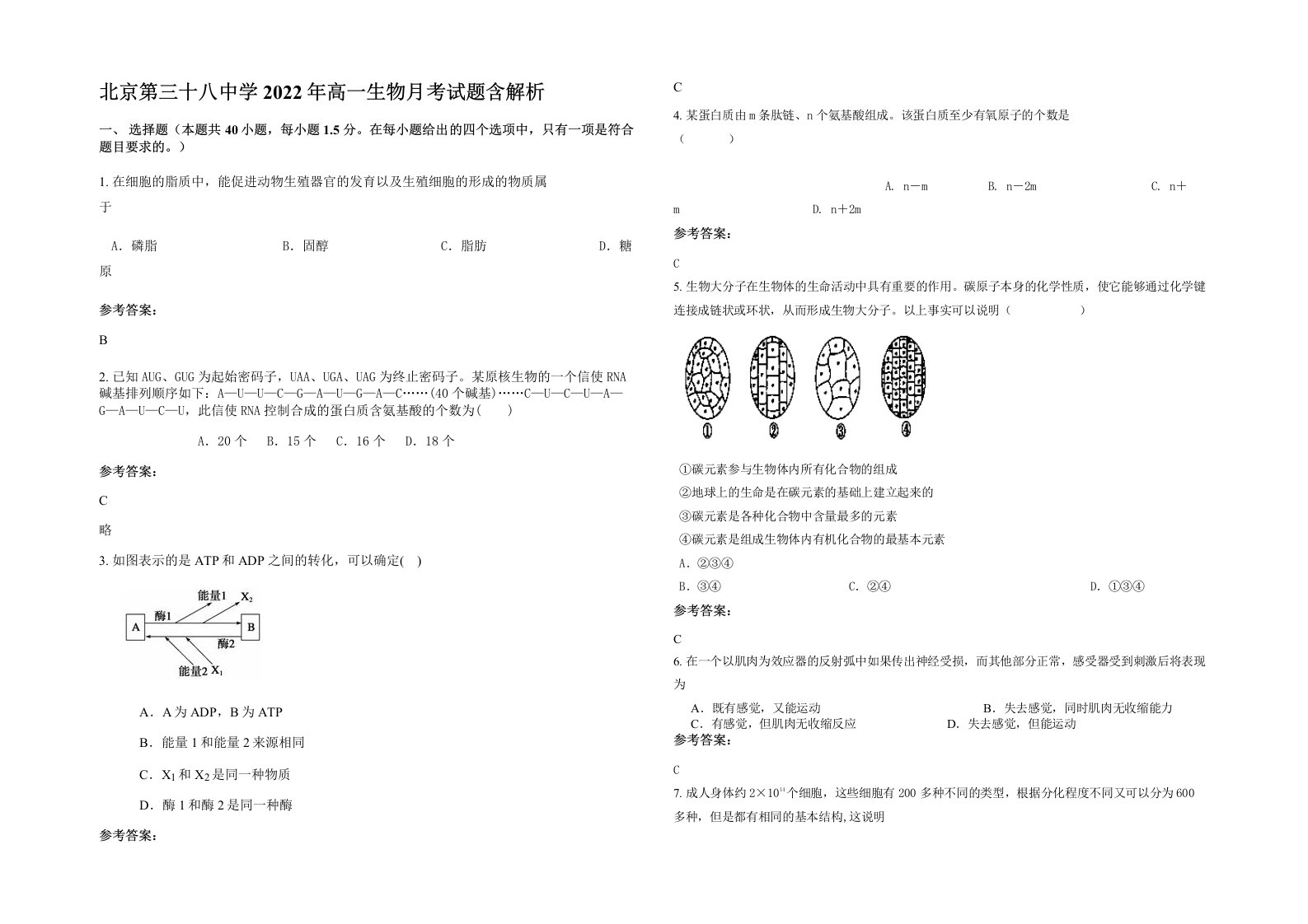 北京第三十八中学2022年高一生物月考试题含解析